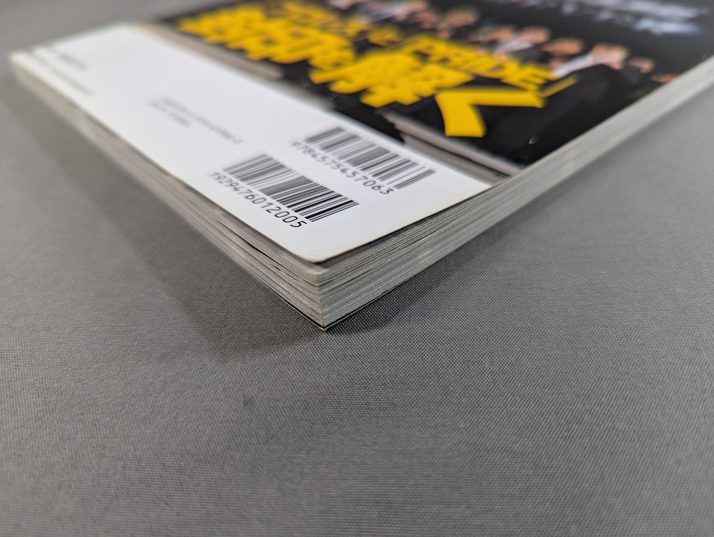 Our Pro Wrestling VOL.8 Pro Wrestling  in the Dark Ages The truth behind the scenes of mixed martial arts that swallowed "The Birth and Collapse of PRIDE"