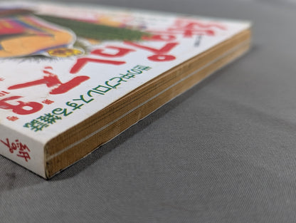 Paper Pro Wrestling 8