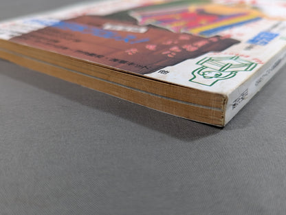 Paper Pro Wrestling 8
