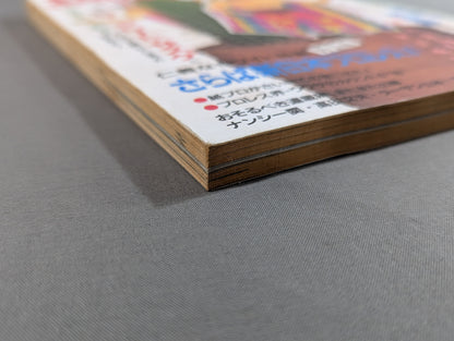 Paper Pro Wrestling 8
