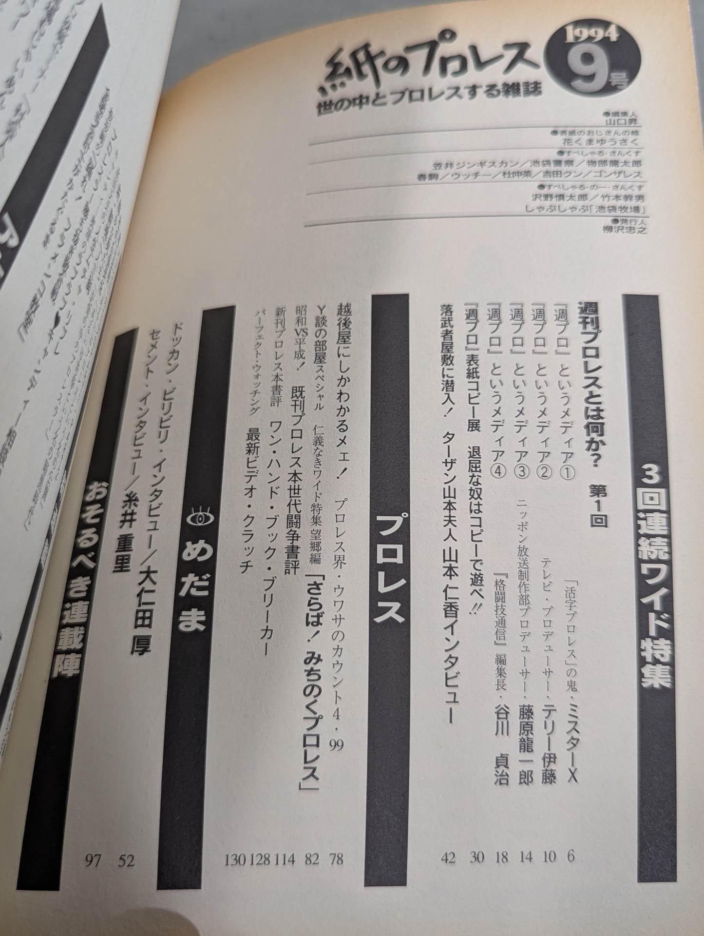 Pro Wrestling  9 on paper