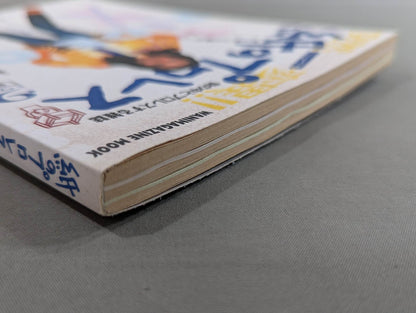 Pro Wrestling  9 on paper