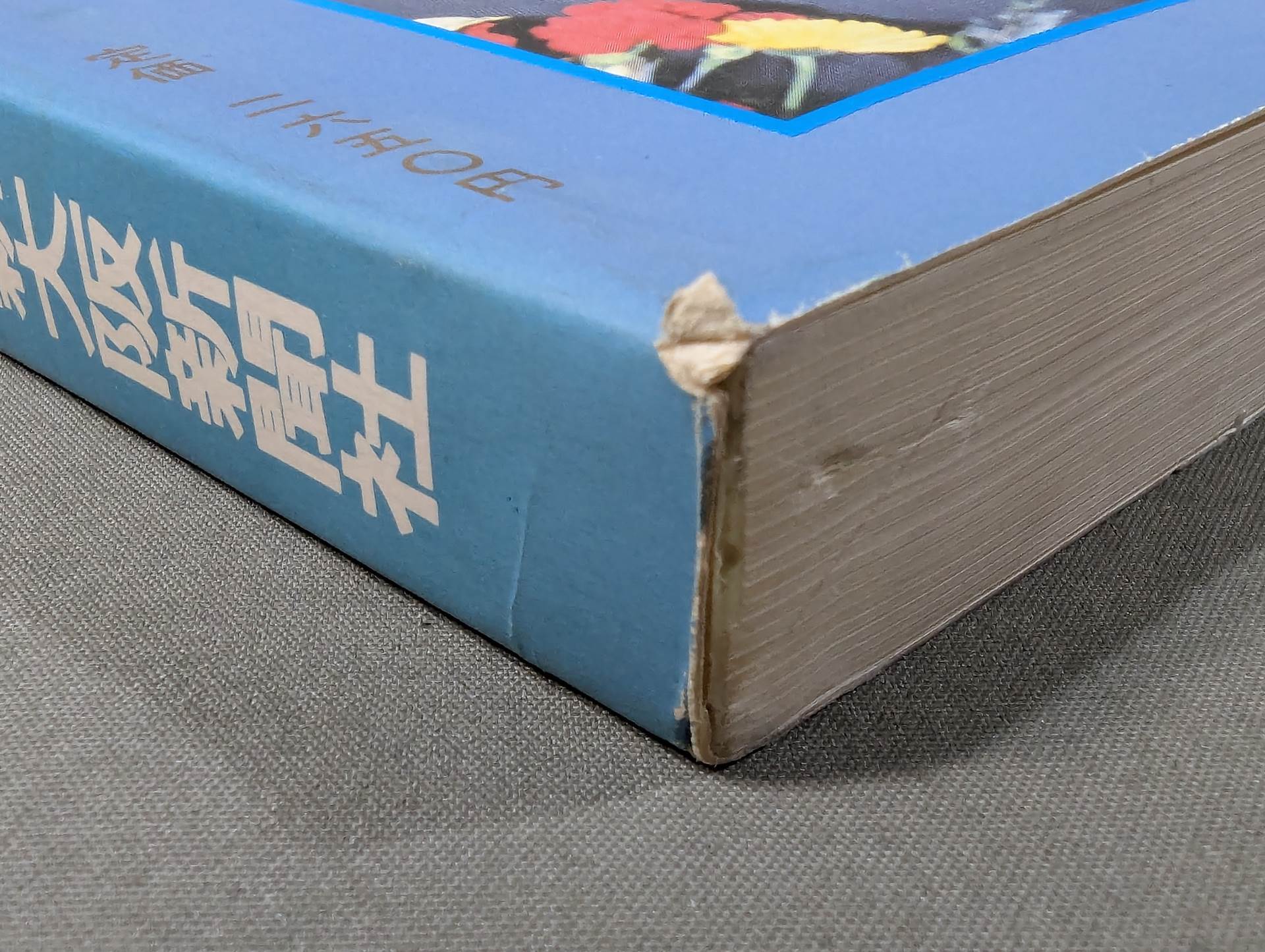 ファイト縮刷版 No.5 – 闘道館