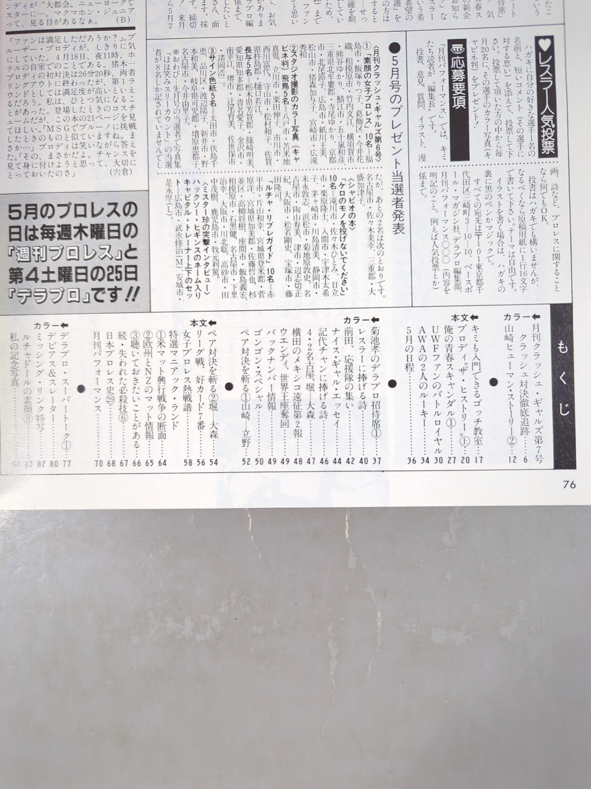 デラックスプロレス 1985年6月号