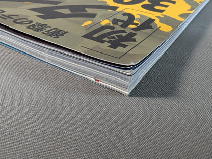 【Top and bottom volumes】The first Tiger Mask 30years