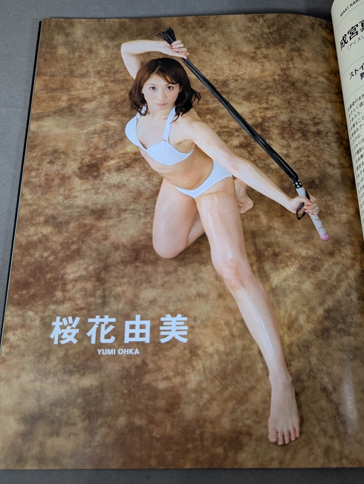 Dressed steel beauty woman II Women's pro wrestler  super combat photo collection