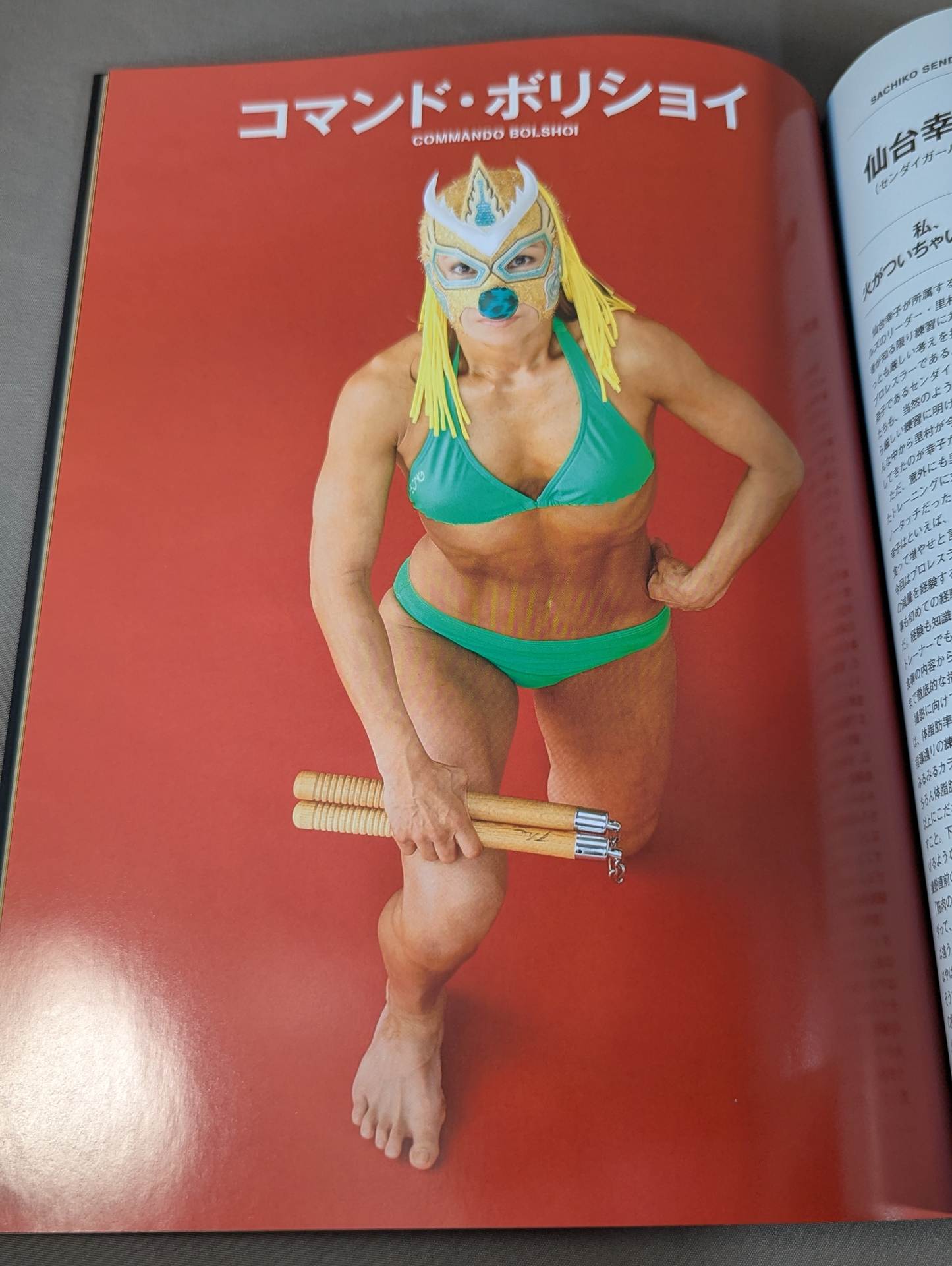 Dressed steel beauty woman II Women's pro wrestler  super combat photo collection