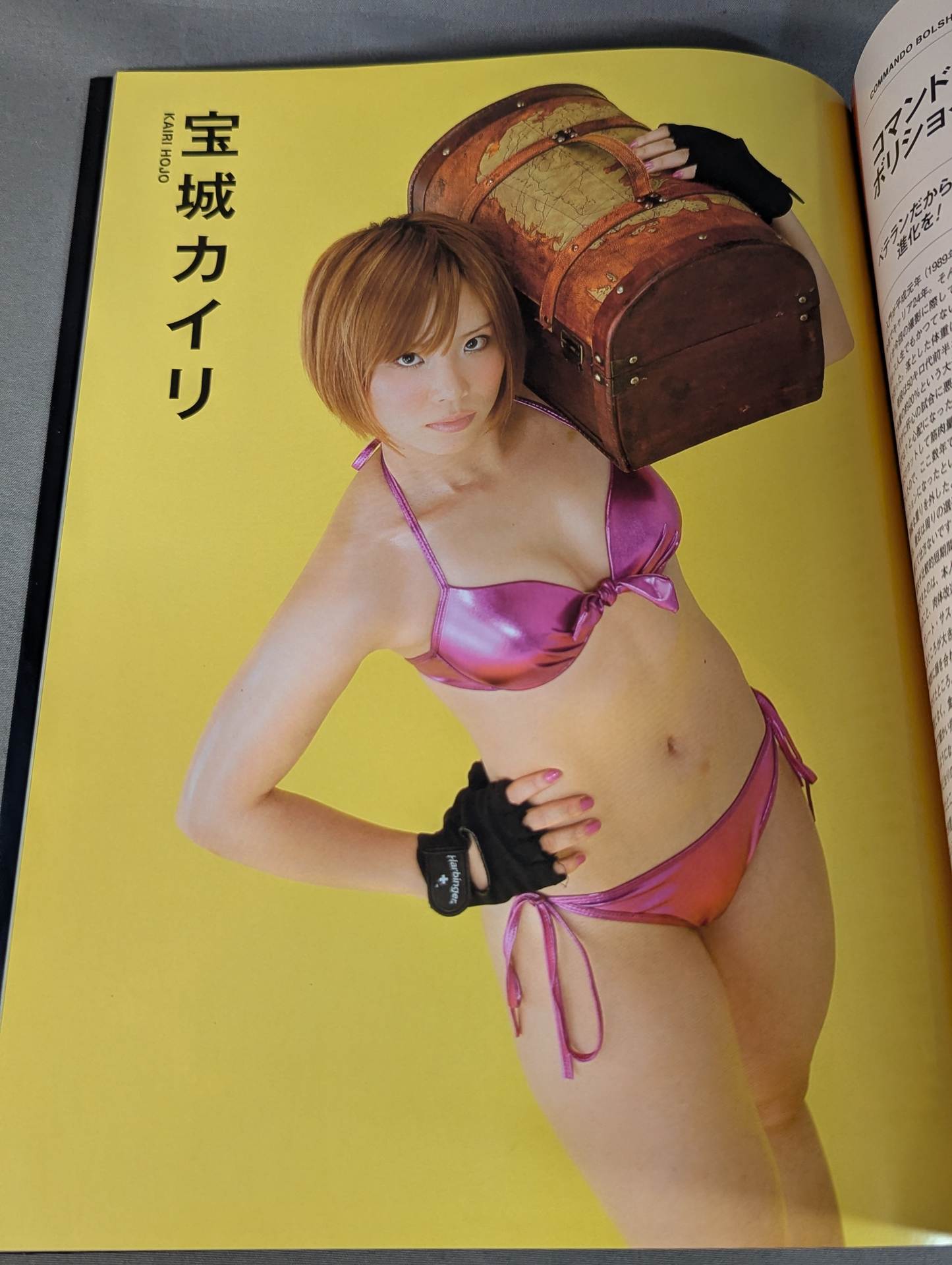 Dressed steel beauty woman II Women's pro wrestler  super combat photo collection