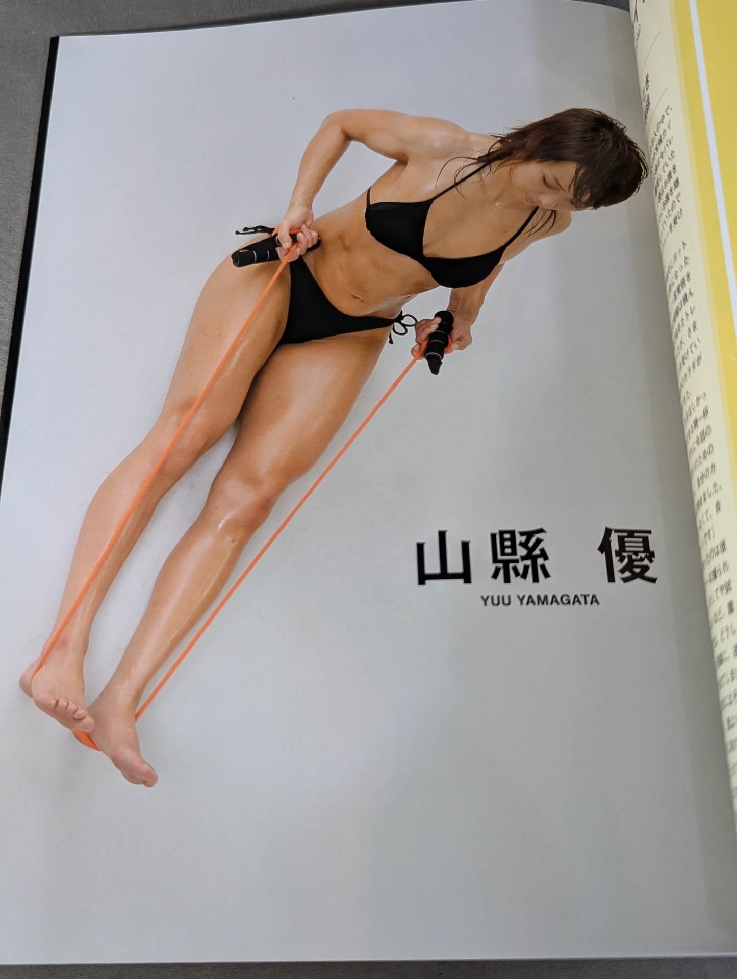 Dressed steel beauty woman II Women's pro wrestler  super combat photo collection