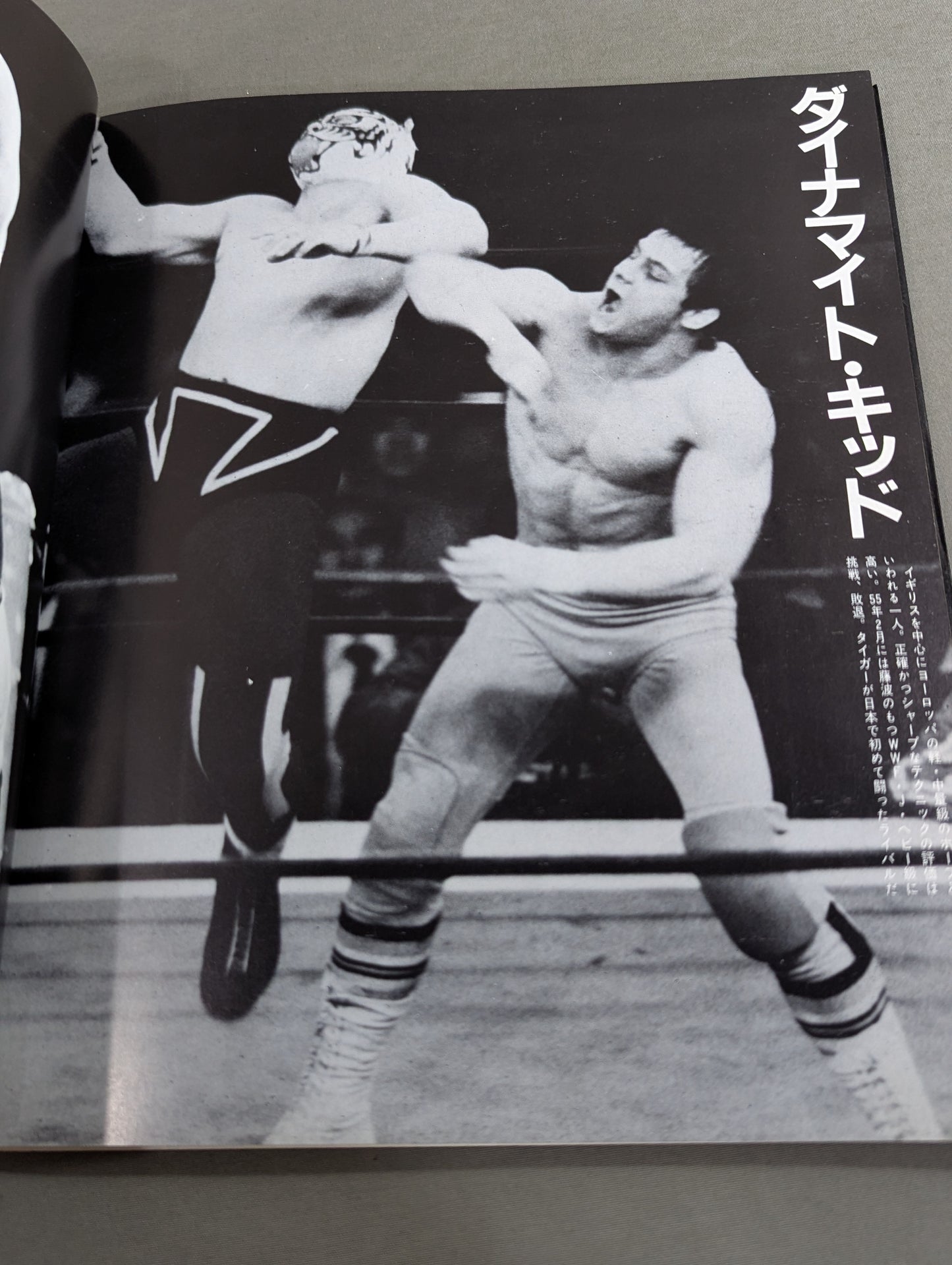 Tiger Mask photo  collection TV Asahi Golden Album