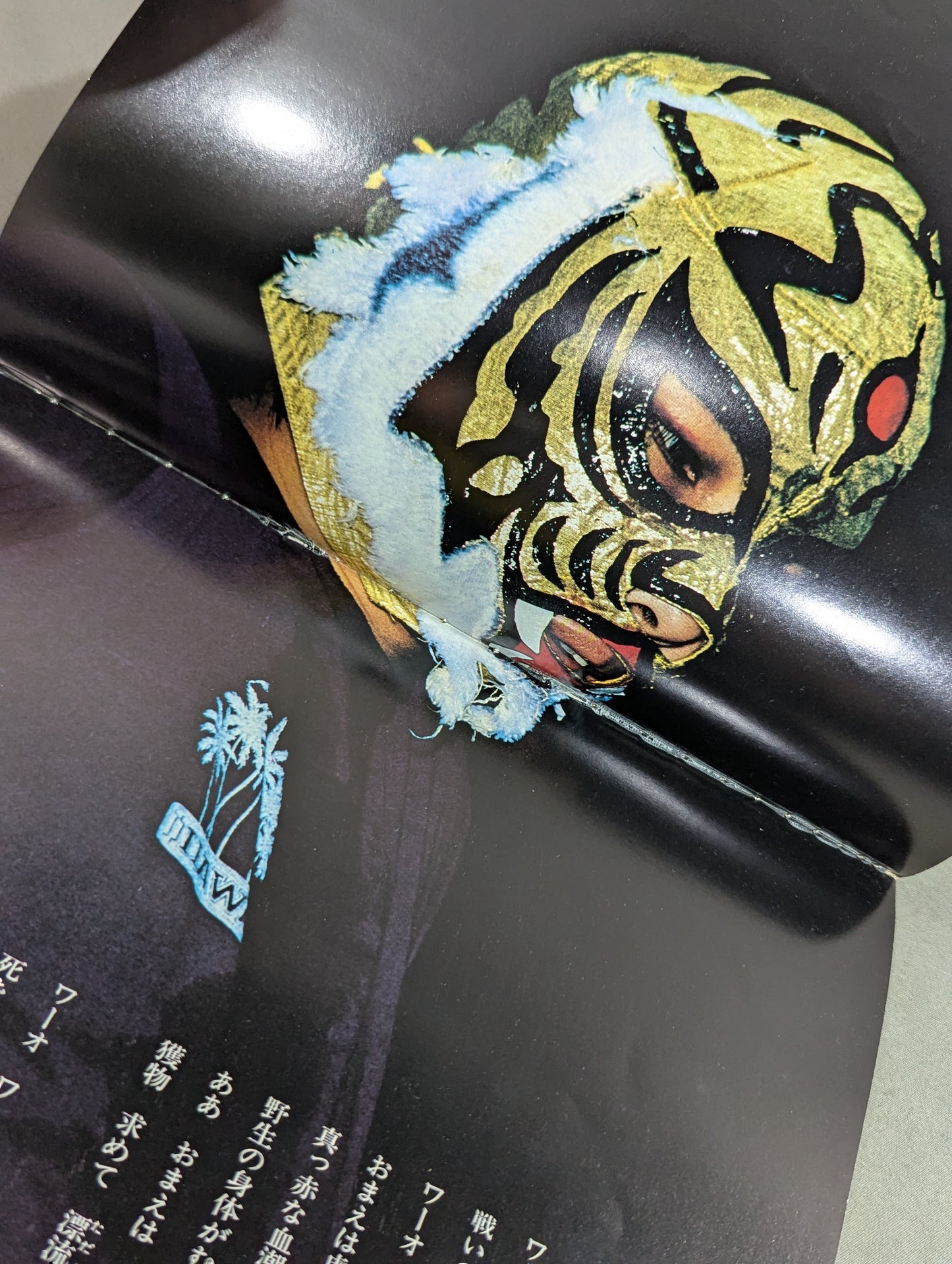 Tiger Mask photo  collection TV Asahi Golden Album