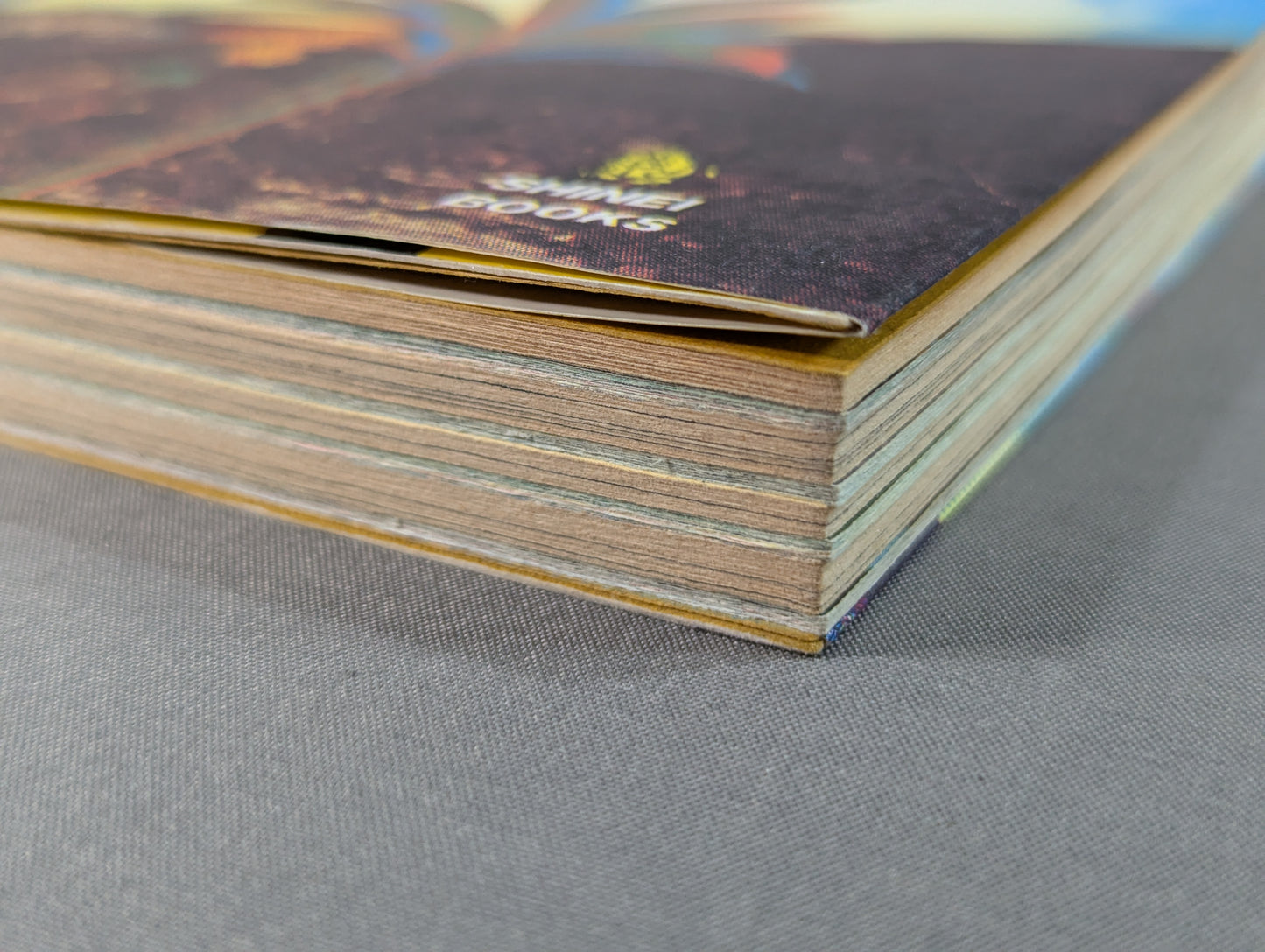 Suddenly a champion. Barking Barking Tiger Mask