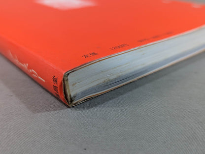 魂の武器(ソウルファイティング) ブルースから全ての闘う男たちへのメッセージ