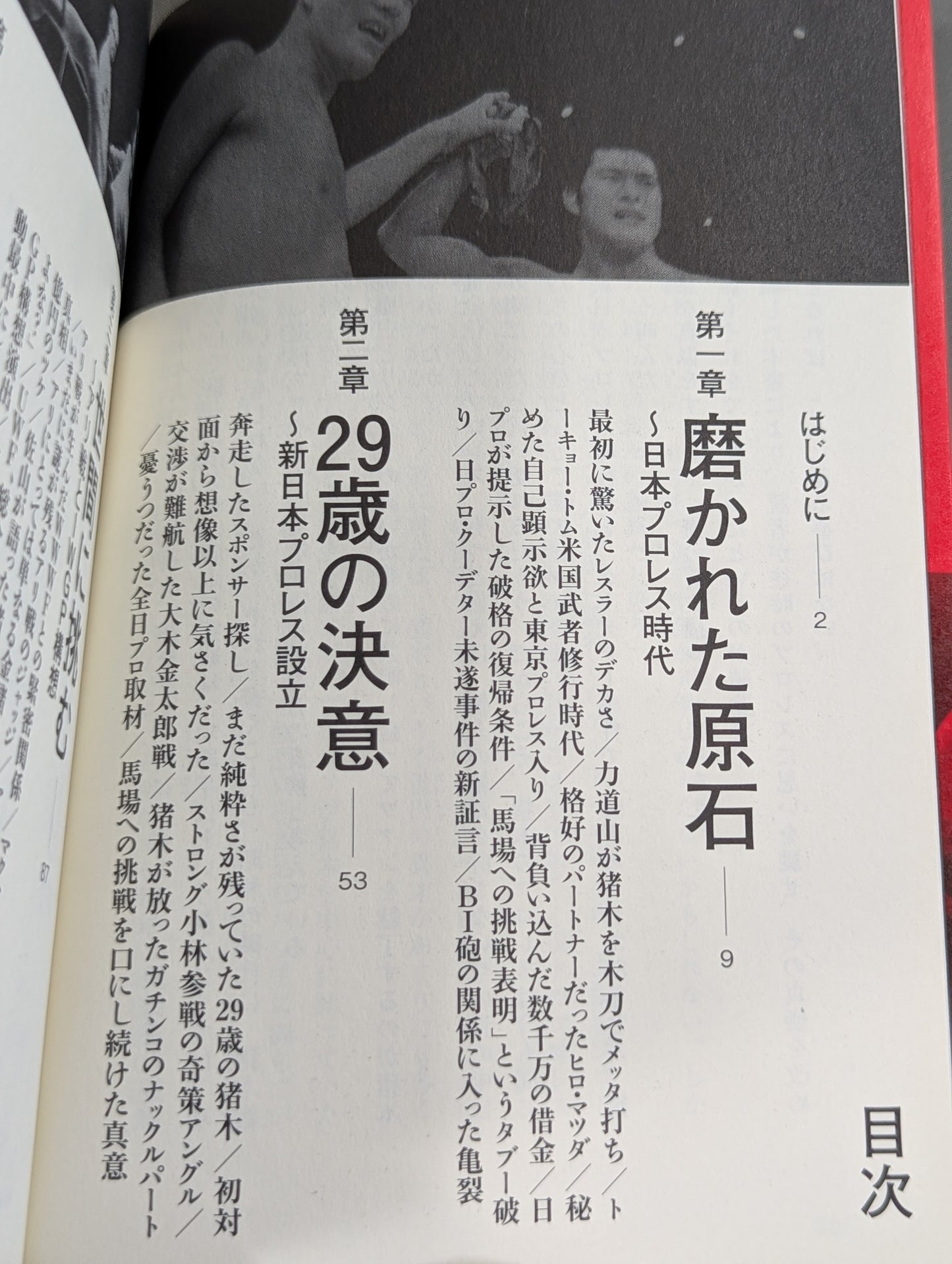 闘魂最終章 アントニオ猪木「罪深き太陽」裏面史