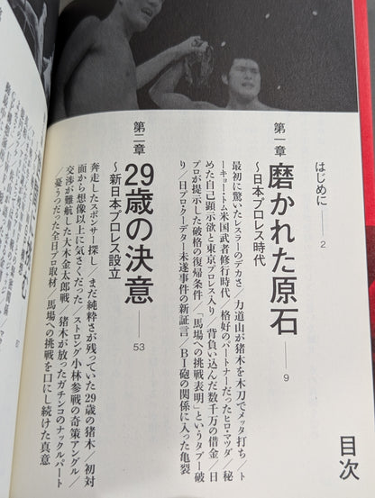 闘魂最終章 アントニオ猪木「罪深き太陽」裏面史