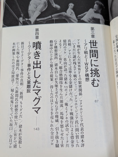 闘魂最終章 アントニオ猪木「罪深き太陽」裏面史