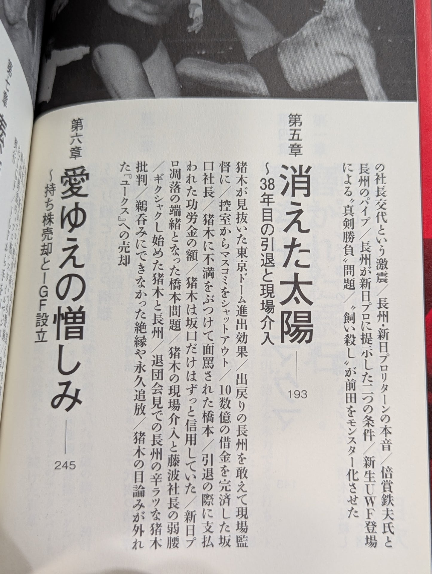 闘魂最終章 アントニオ猪木「罪深き太陽」裏面史
