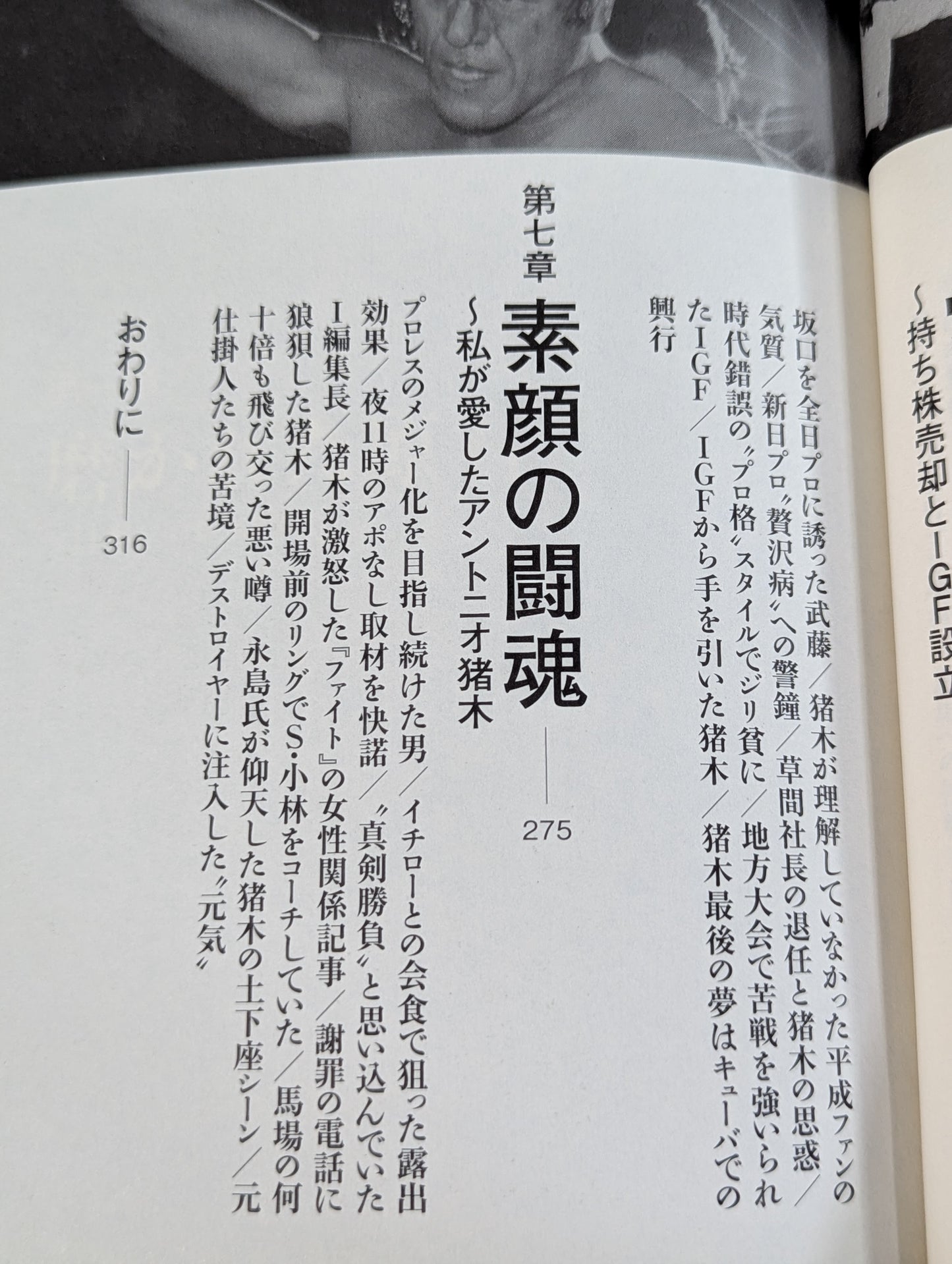 闘魂最終章 アントニオ猪木「罪深き太陽」裏面史
