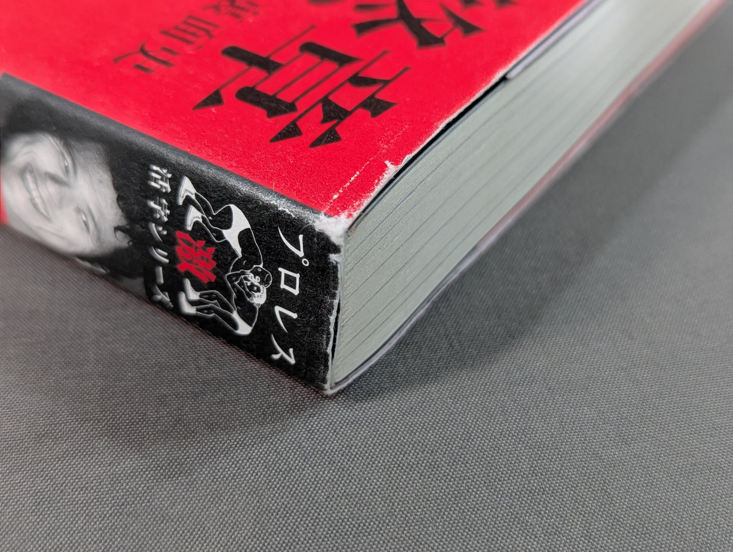 闘魂最終章 アントニオ猪木「罪深き太陽」裏面史