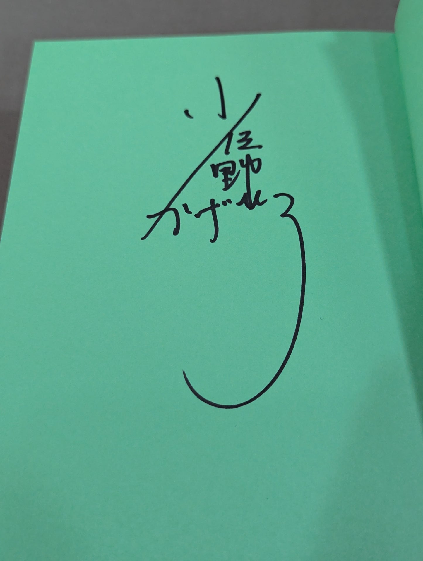 【著者サイン＆ポストカード付】至高の三冠王者 三沢光晴