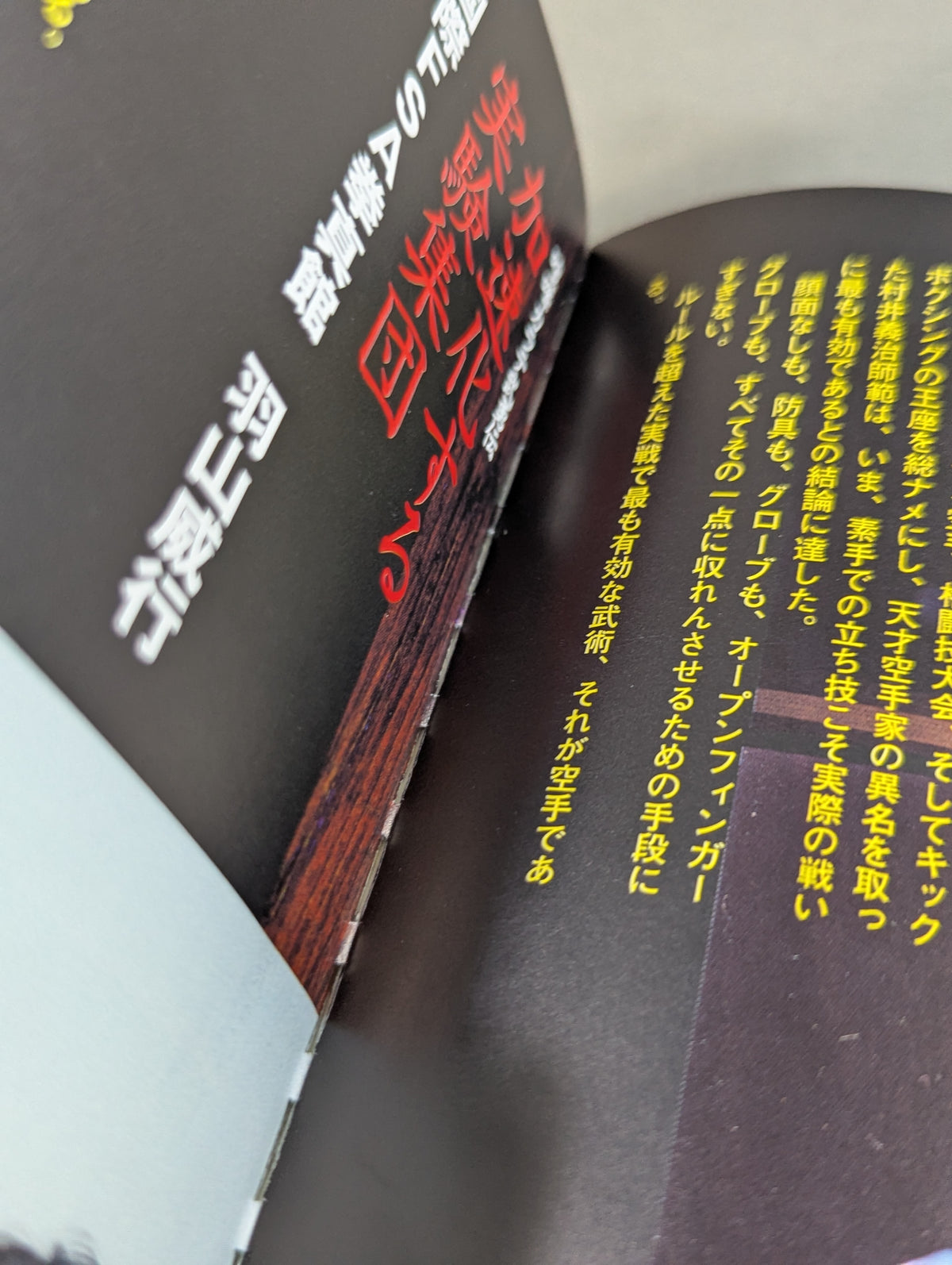 【DVD付】達人シリーズ第五巻 喧嘩カラテ武勇伝 伝説の空手家たちが辿り着いた新しい実戦空手とは?