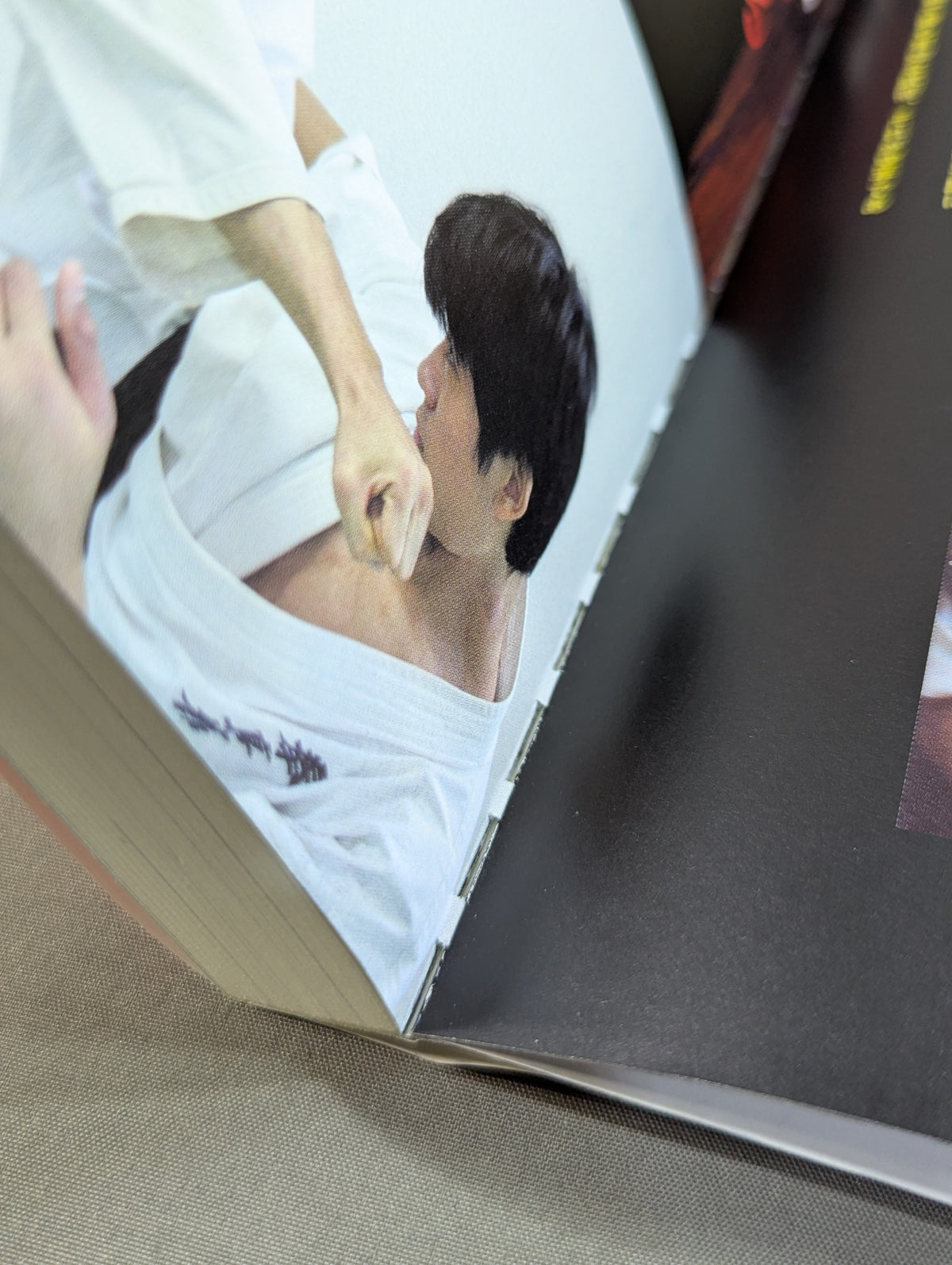 【DVD付】達人シリーズ第五巻 喧嘩カラテ武勇伝 伝説の空手家たちが辿り着いた新しい実戦空手とは?