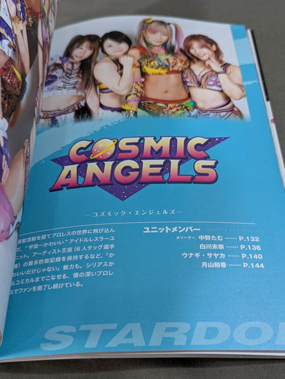 STARDOM FANBOOK