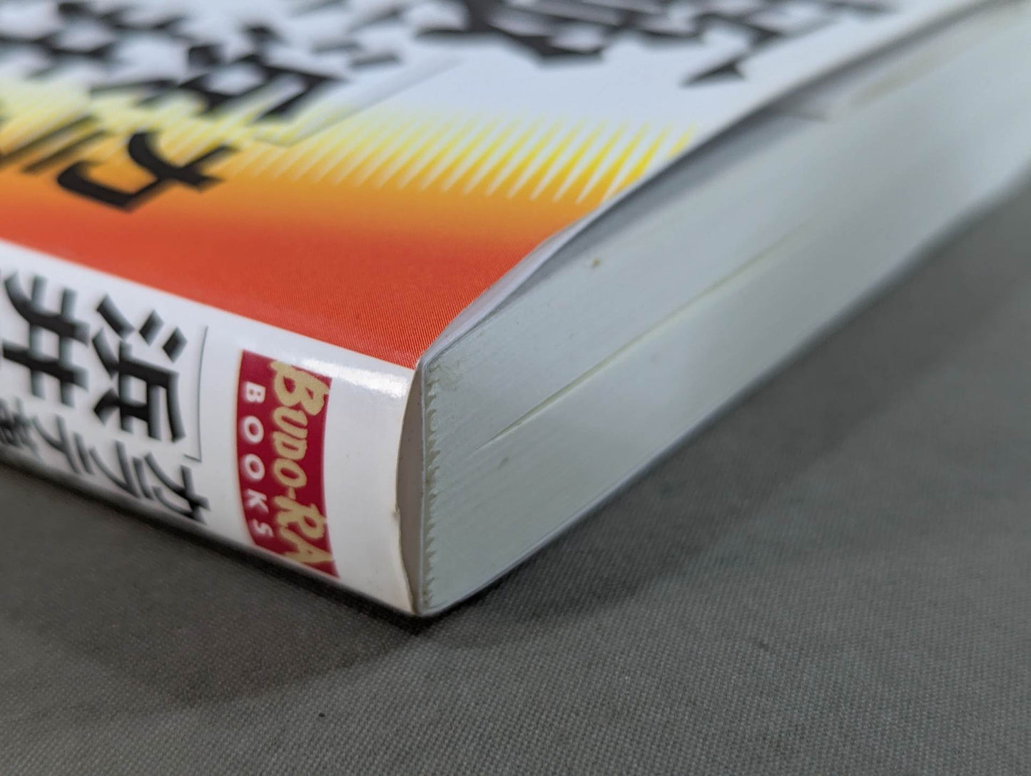 [with DVD] KARATE Revolutionary "Hamai Noriyasu" Kyokushin's New Theory