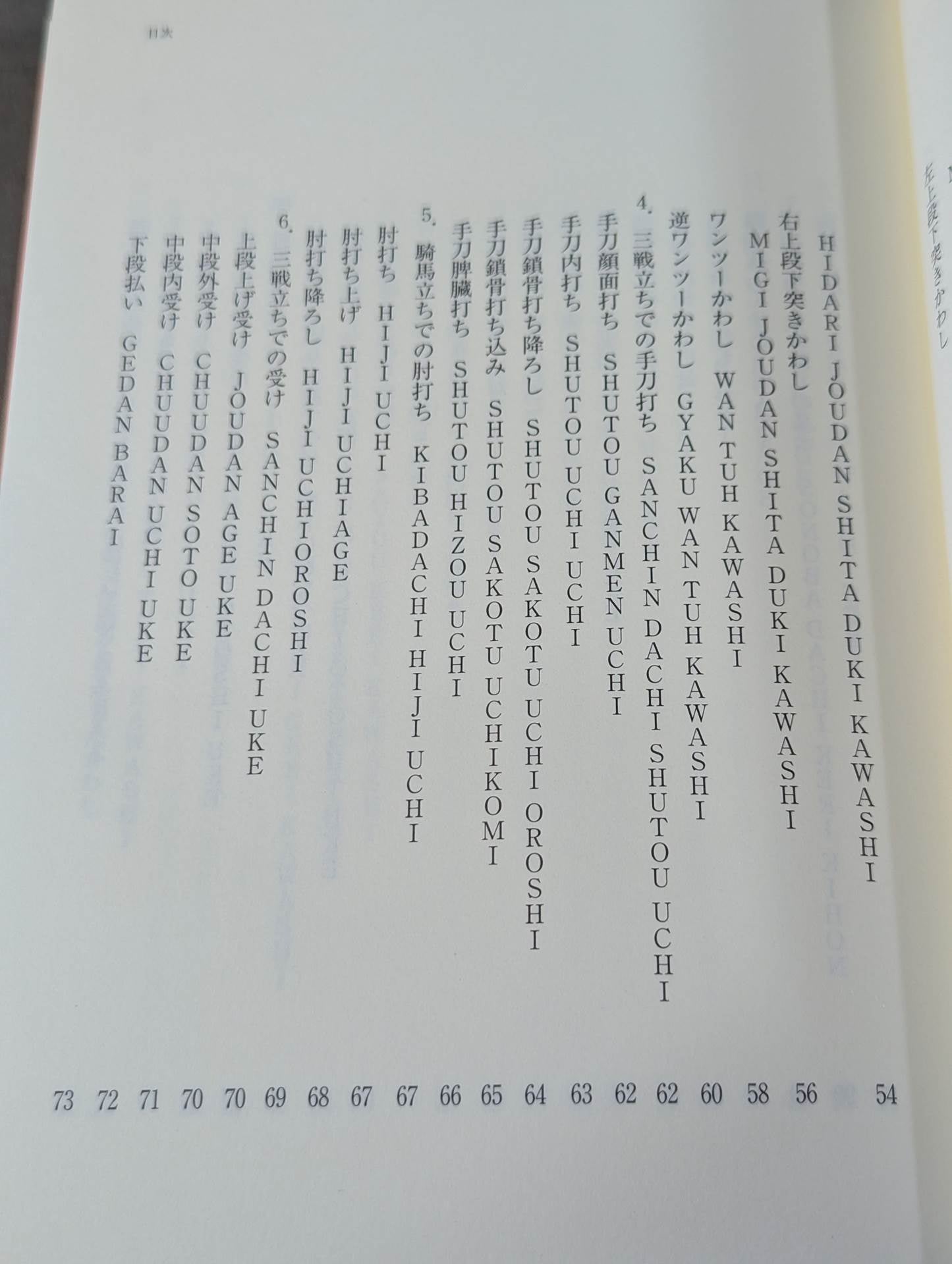 [with DVD] KARATE Revolutionary "Hamai Noriyasu" Kyokushin's New Theory