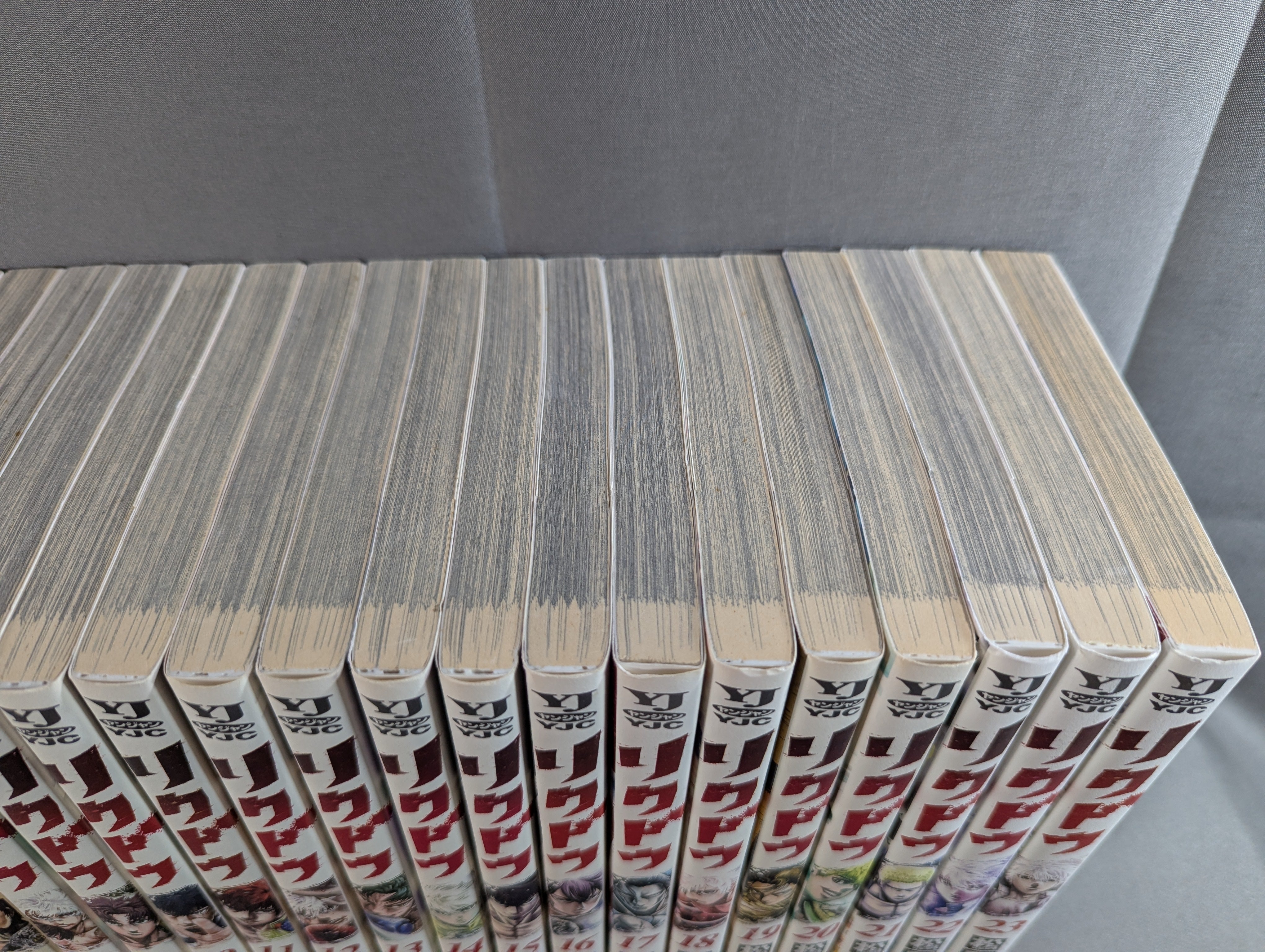 全23巻セット】リクドウ – 闘道館