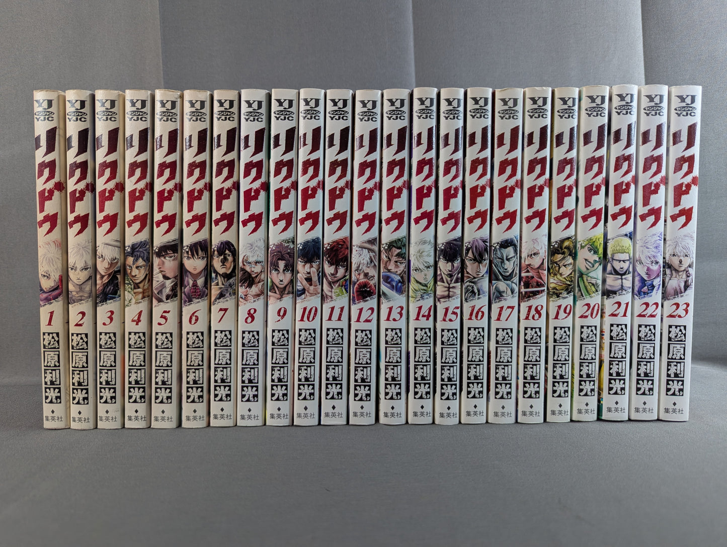 【全23巻セット】リクドウ