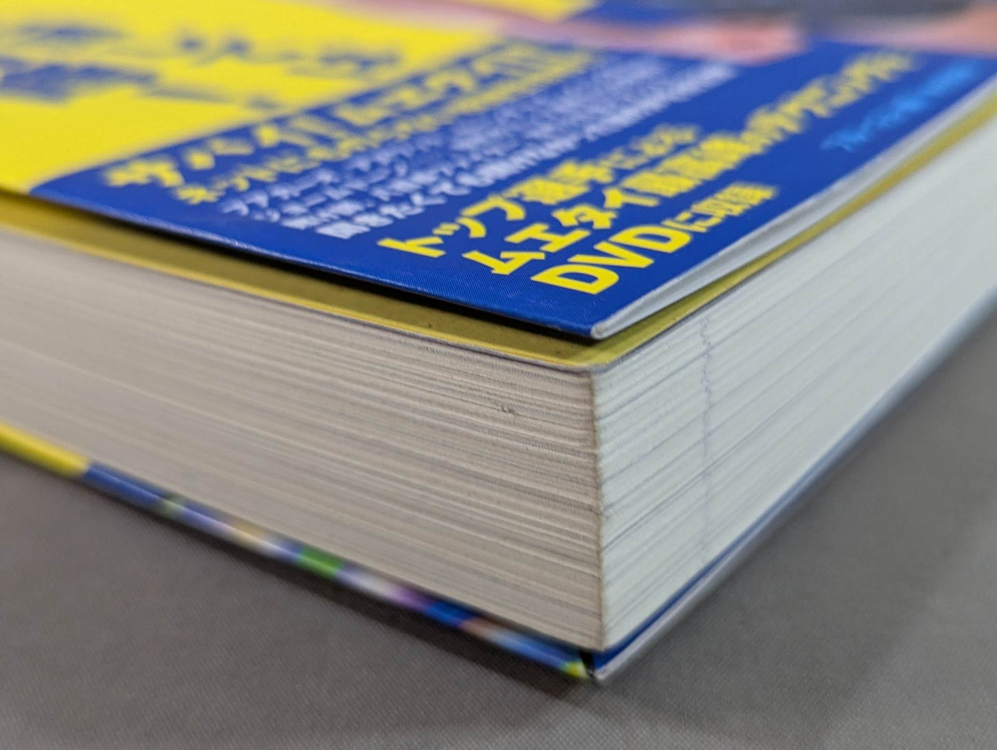 [With DVD] This book is the best when it comes to Muay Thai!