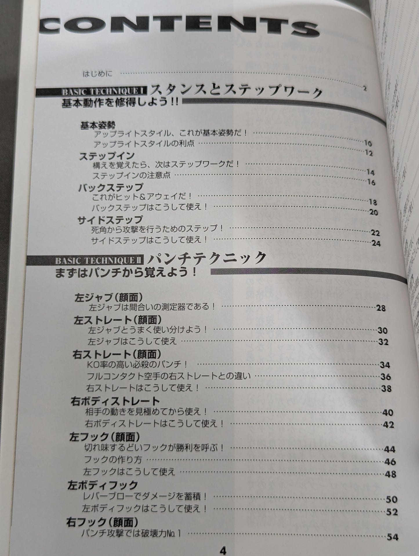 実戦打撃格闘技!グローブテクニック