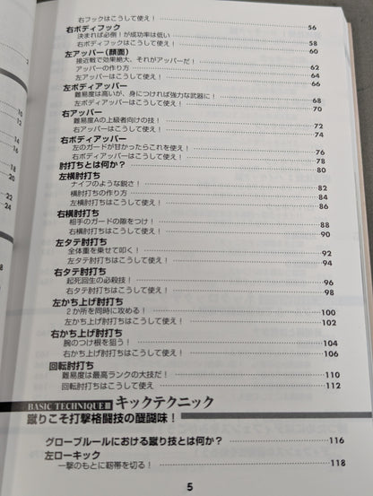 実戦打撃格闘技!グローブテクニック