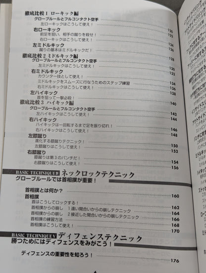 実戦打撃格闘技!グローブテクニック