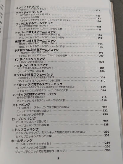 実戦打撃格闘技!グローブテクニック