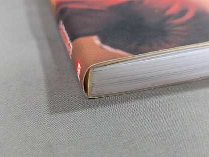 実戦打撃格闘技!グローブテクニック
