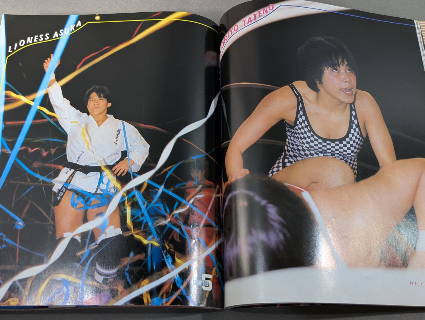 女子プロレス5 ヤッたぜコノヤローッ!!