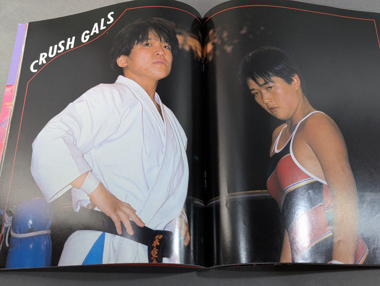 女子プロレス5 ヤッたぜコノヤローッ!!