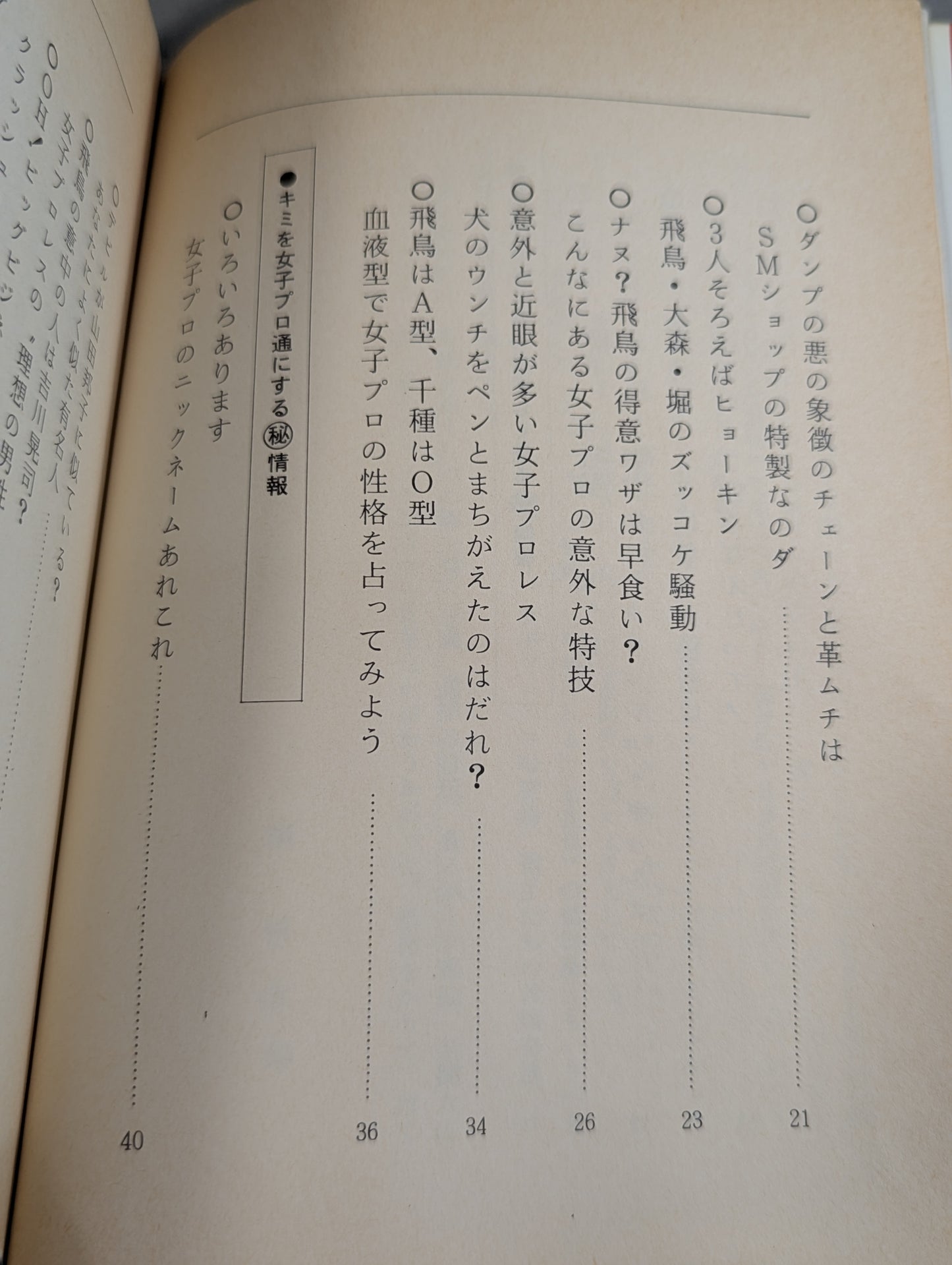 なんてったって女子プロレス