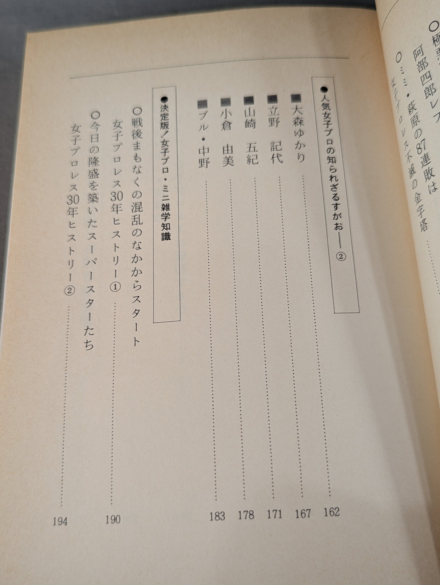 なんてったって女子プロレス