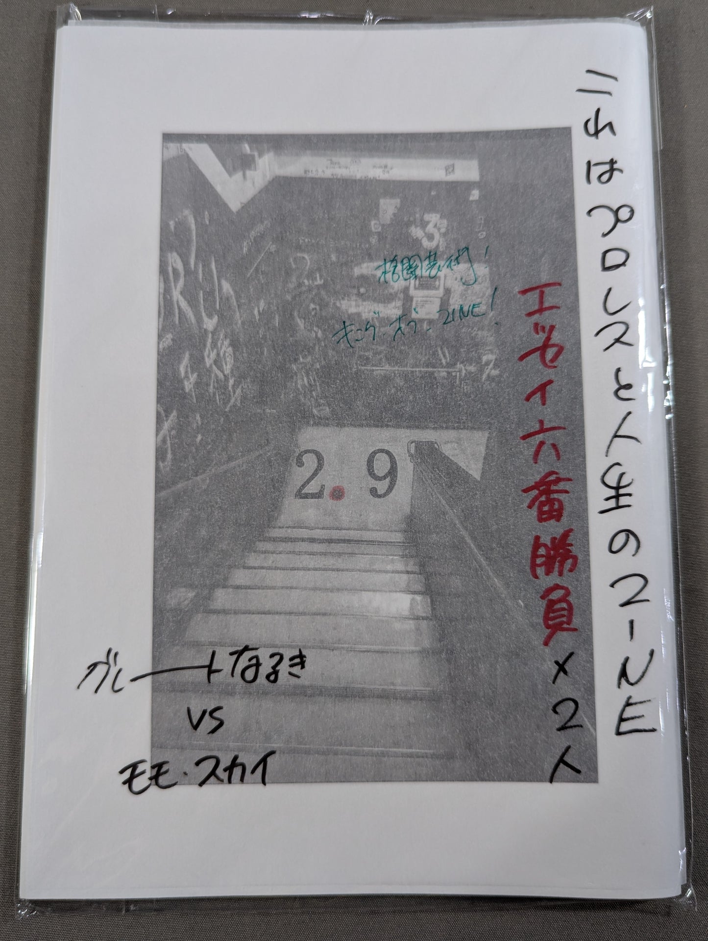 【日々リングに立つあなたに送るプロレスと人生のZINE】2.9（ニーテンキュー）