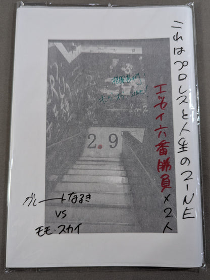【日々リングに立つあなたに送るプロレスと人生のZINE】2.9（ニーテンキュー）