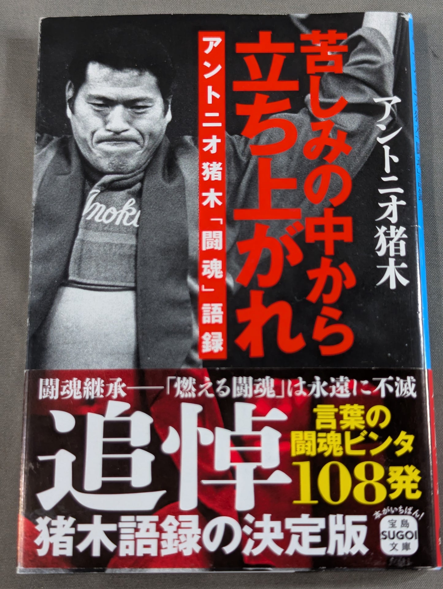 Rise from Suffering: Antonio Inoki  'Fighting Spirit' Quotes