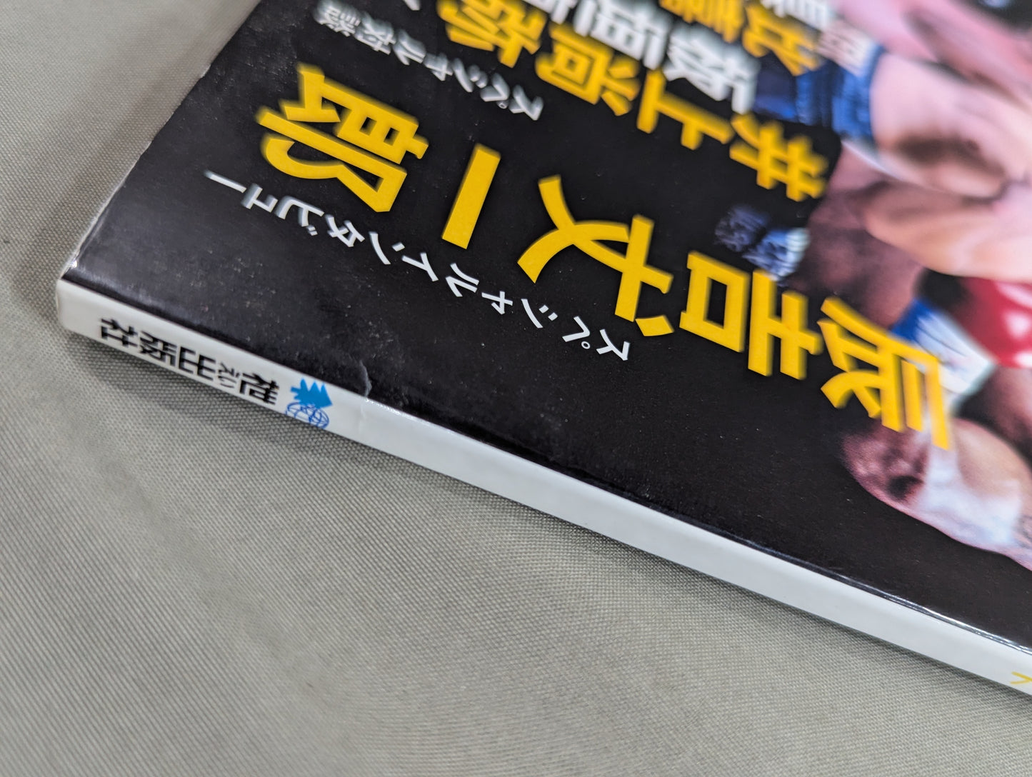 ボクシングファンの教科書  JBC監修 日本ボクシング検定2017公式テキスト本