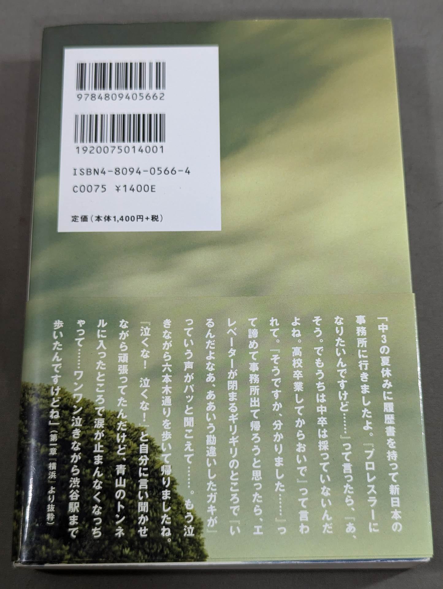 風になれ