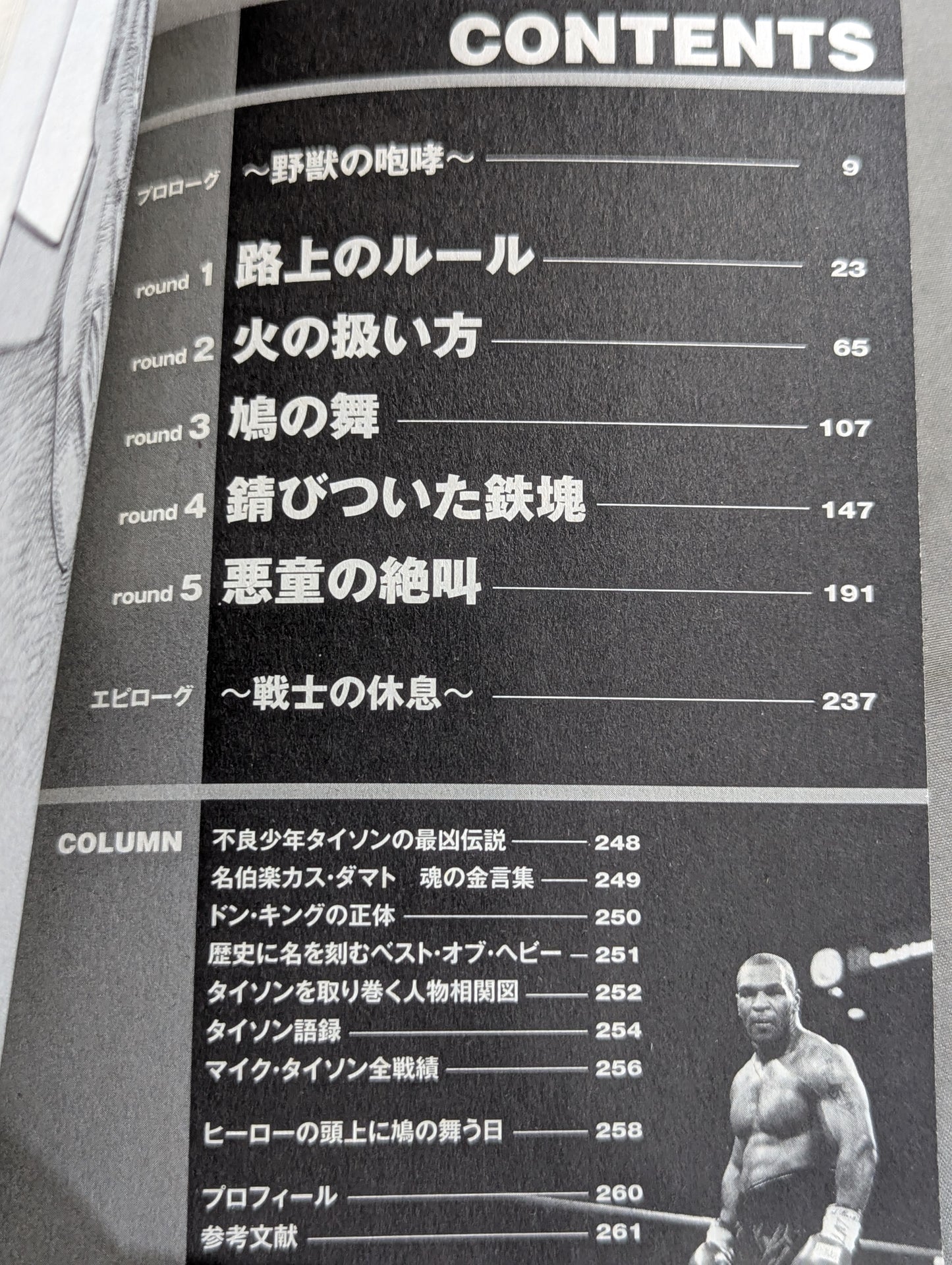 実録 ボクシング世界王者 マイク・タイソン物語