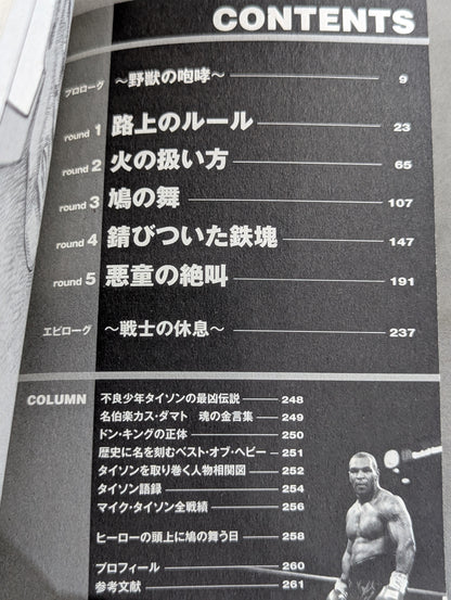 実録 ボクシング世界王者 マイク・タイソン物語