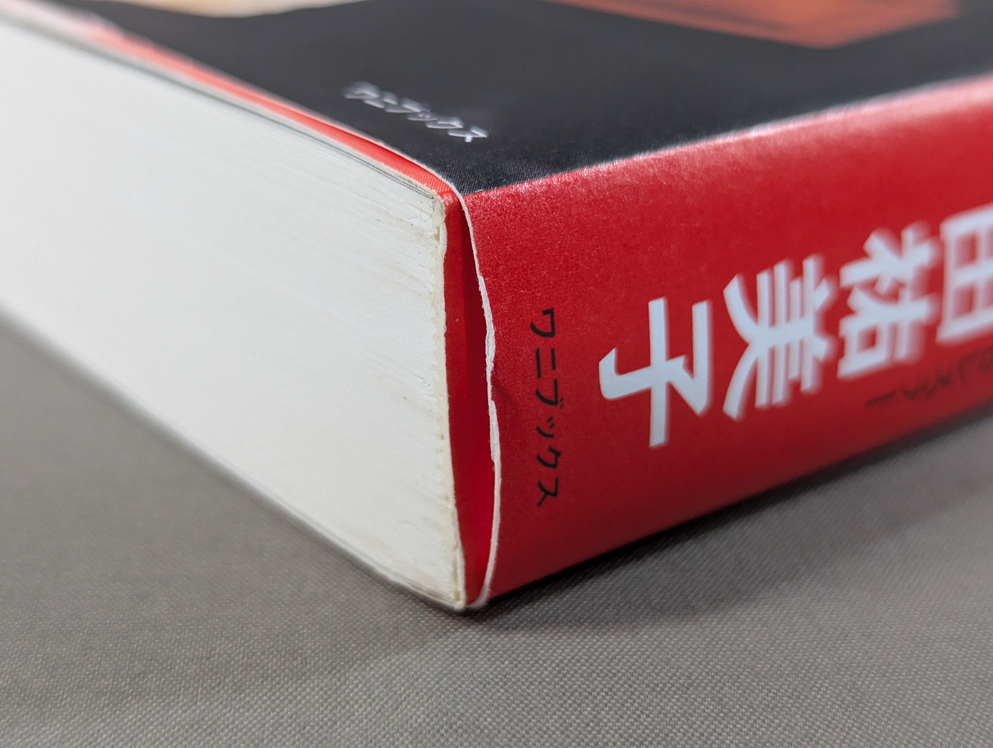 Yumiko Hotta 40th anniversary autobiography of the unfinished