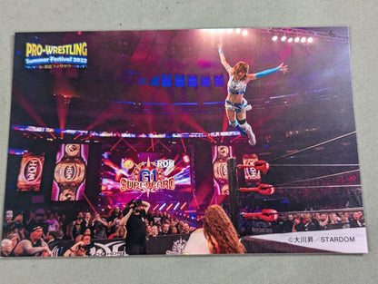 【特典ポストカード付】引きこもりでポンコツだった私が女子プロレスのアイコンになるまで